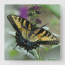 Suche nach frack wanduhren Schmetterling