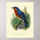 Suche nach viktorianisches ostern poster Vintag