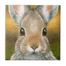 Suche nach bunny fliesen Hasen