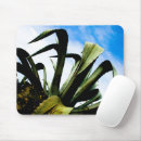 Suche nach grüne pflanzen mousepads Sukkulent