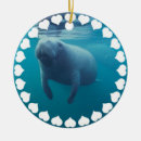 Suche nach seekuh ornamente Manatis