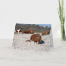 Suche nach ponys karten Natur
