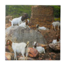 Suche nach ziegen fliesen Keramik