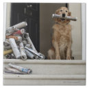 Suche nach zeitung fliesen Hund