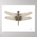 Suche nach wanzen poster Libelle