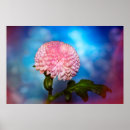 Suche nach bokeh poster Grün