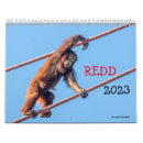 Suche nach affe kalender Orang utan