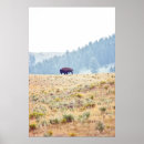 Suche nach bison kunst Nationalpark