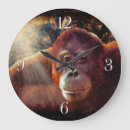 Suche nach bilder affen poster Primate