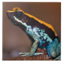 Suche nach zentralamerika fliesen Rica costa