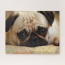 Suche nach niedlicher mops puzzle Welpe