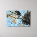 Suche nach wilds poster leinwandbilder Zuhause