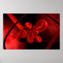 Suche nach molekularbiologie poster Zellbiologie