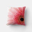 Suche nach gerbera kissen Rosa