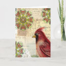 Suche nach bunter vogel karten Rot