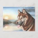 Suche nach zäh postkarten Sibirischer husky