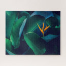 Suche nach paradiesvogel puzzle Blüte