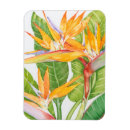 Suche nach laub magnete Aquarell