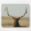 Suche nach hörner mousepads Jagd