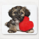 Suche nach bichons mousepads Niedlich
