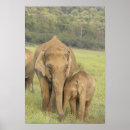 Suche nach young poster Mutter