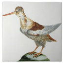 Suche nach jäger fliesen Schule