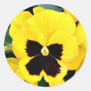 Suche nach pansy aufkleber Flora