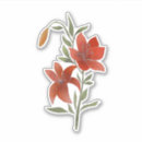 Suche nach tigerlilie Blume