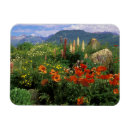 Suche nach butte magnete Landschaft