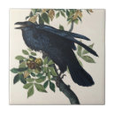 Suche nach rave fliesen Vogelbeobachtung