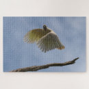 Suche nach parrot puzzle Vogelvogel