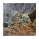 Suche nach seltsam fliesen Eidechse