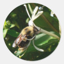 Suche nach geißblatt Blüte