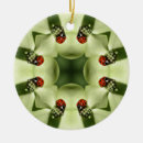 Suche nach kaleidoskop ornamente Natur