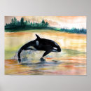 Suche nach schwertwal poster Natur