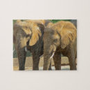 Suche nach elefant puzzle Safari