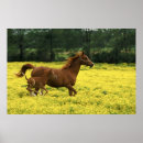 Suche nach habitat poster Usa