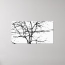 Suche nach baum silhouette leinwandbilder Blätter