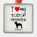 Suche nach boston terrier schmuck Dogs