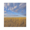 Suche nach horizont notizblock Horizont über land