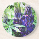 Suche nach lupine untersetzer Blume