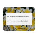 Suche nach frangipani magnete Blume