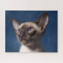 Suche nach blaue augen puzzle Kitty