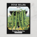 Suche nach seeds postkarten Vintag