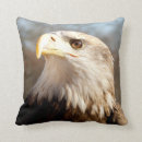 Suche nach weißkopfseeadler kissen Natur