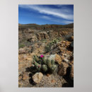 Suche nach blühen poster Blüte