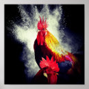 Suche nach rooster poster Hähne