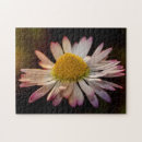 Suche nach gänseblümchen puzzle Blüte