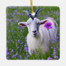 Suche nach niedliche ziege ornamente Tier