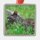 Suche nach gras ornamente Schön